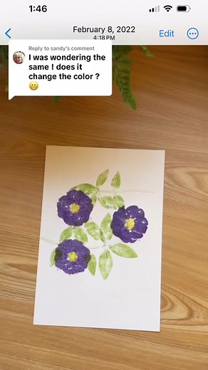Replying to @sandy You will be shocked ! How it looks two years later 👉 watch till the end :) #hammeredflowers #botanicalart