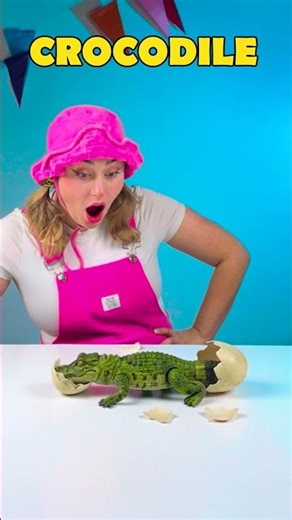 🥚 Egg Guessing Time 💛 Let’s Look 🌈