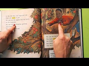 Journeys Grade 1 Lesson 24 A Tree Is A Plant #1 19