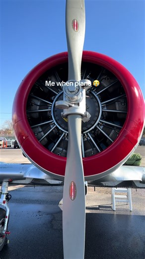 The Fascinating World of WWII Warbirds