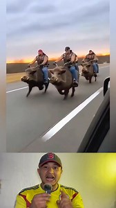 Miren esto 🤭#reels #OMG #everyone | Mauricio Forero