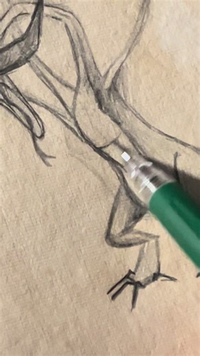 Typhoomerang: Exploring the Book of Dragons