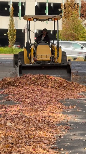 2K views · 48 reactions | collecting piles of leaves to make compost , 6 months to 2 years, depending on how you manage the process. To speed it up, shred the leaves and mix them with nitrogen-rich materials like grass clippings, maintain proper moisture, and turn the pile regularly. | Chardik Maglasang Teves | Facebook