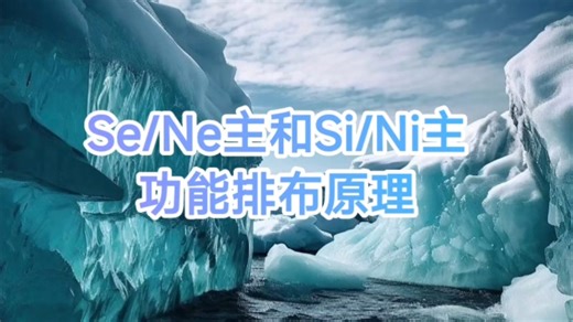 SeNe主和SiNi主功能排布原理