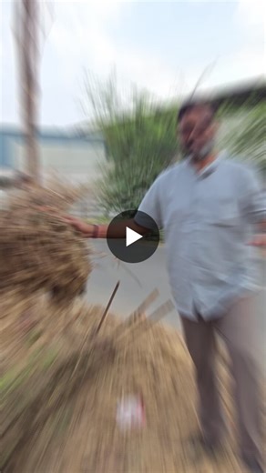 #urbandevelopment #environment #protectingtrees #ahmedabad | Devendra Kodwani