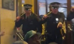 Brixton: Police officer pushes concert-goer at Asake show