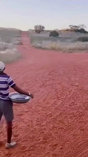 Man Interacts Fearlessly with Cheetah in Desert