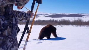 Russia: Western tourists hunt bear with with a bow