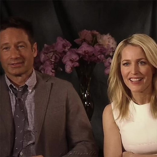 Happy Gillian Anderson and David Duchovny Day Celebration