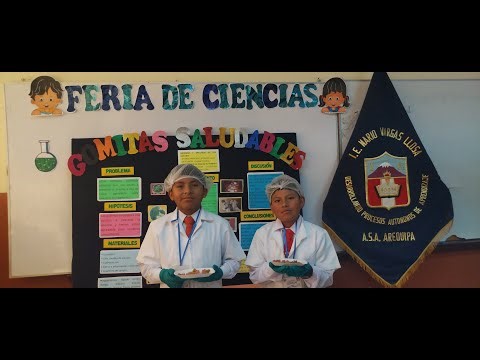 FERIA ESCOLAR DE CIENCIAS TEMA: GOMITAS SALUDABLES
