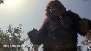 Remember how King Kong from the Jeff Bridges movie actually survived his fall, but needed a giant pacemaker and blood transfusion, and luckily they found a lady Kong? King Kong Lives was released 37 years ago on this day in 1986! 🎞 King Kong Lives (1986) ✒ Ronald Shusett, Steven Pressfield 🎬 John Guillermin 🎥 Peter Elliott, George Antoni, Brian Kerwin, Linda Hamilton, John Ashton 🎵 John Scott | Nostalgic Nebula