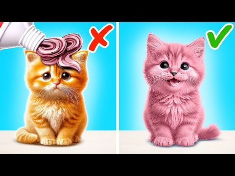Cuddly Kitten Rescue! 😻 Heartwarming Tips & Tricks for Pet Care