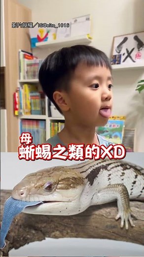 【蜥蜴4你？】兒子呆萌表演快速吐舌 被媽吐槽「像蜥蜴」!?｜小孩｜兒子｜吐舌｜搞笑