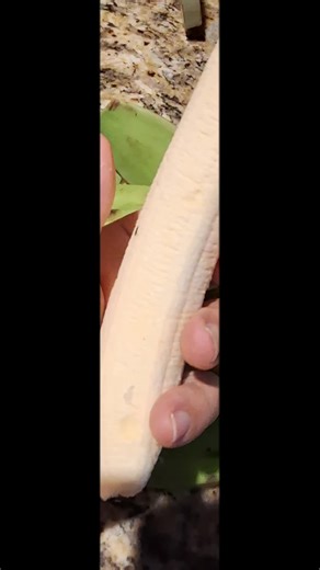 #god #godisgood saludos desde Atlanta Georgia aqui la josiadora #1 de Atlanta