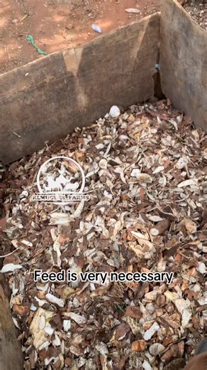 Why Farming is a Vital Part of Life