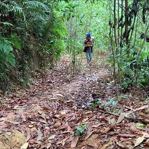 34K views · 419 reactions | Holding the Family Together While Dad Works Away Part 6 | Ly thai | Facebook