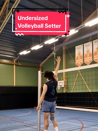 Undersized Volleyball Setter: How to Compete Without Height