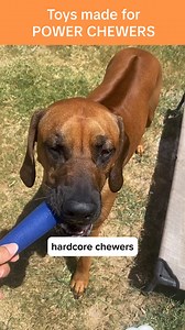 17 reactions | Try your first box for only $19 with code BOX19 and see why dog's (and their parents) love BULLYMAKE | BULLYMAKE | Facebook