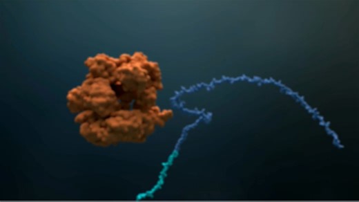 Scientists Crack the Code on BRCA2: New Hope for Cancer Patients