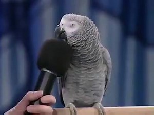 294K views · 2.9K reactions | Look at this smarty pants | Best Web Moments | Facebook