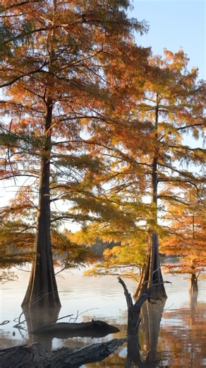 See Oklahoma through a new lens. Stay tuned…. 👀 | Oklahoma Tourism