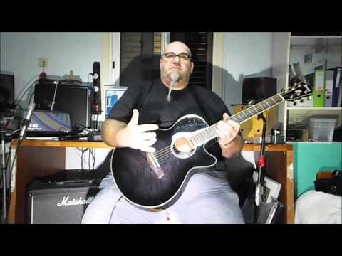 Ibanez AEG24II Electro Acoustic Review