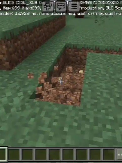 Minecraft Swimming Pool 🏊