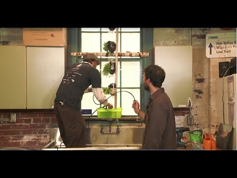 How to build a Window Garden