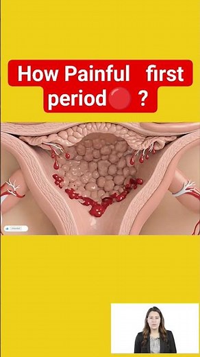 How Painful is the First Period? | 3D Animation Explained | Menstrual Cramps for Beginners