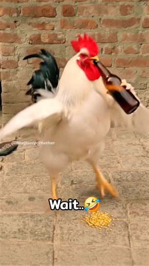 🎆 नया साल में मुर्गा 🐔 कइलस मालिक के बेइज्जती 🤣😂 #funny #thetharpuns #bhojpuriyathethar #comedy