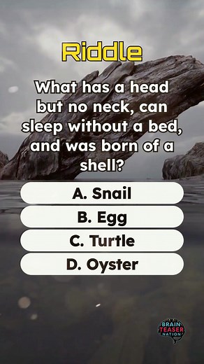 Riddle Activity 73 #brainteaser #logic #riddles #braintest #fblifestyle | Brain Teaser Nation