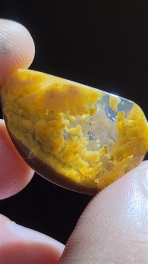 some awesome designer cabs in some killer USA material! opal from opalbutte oregon, gold in quartz from the standard metals mine Colorado, gem silica Arizona and holley blue agate from sweet home Oregon. all obtainable on my etsy, link in Bio. #forgedelements #fyp #iloverocks #art #glyptic #lapidary #rockcollector #oneofakind | Jack Hoque