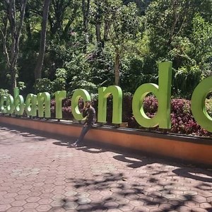 Goyang @goyang29418474 - Twitter Profile