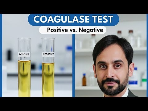 Coagulase Test | Procedure of Coagulase Test
