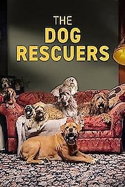 Watch The Dog Rescuers Season 1 Episode 6 - Episode 6