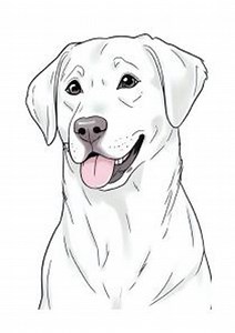 30 Realistic Dog Breeds Coloring Pages | Printable PDF for Adults and Kids - Etsy UK