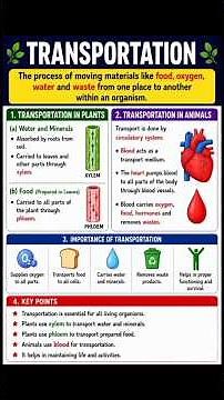 🚀Class 10 Biology Chapter 1 | Life Processes | Complete Revision#biology#transportation#shorts#viral