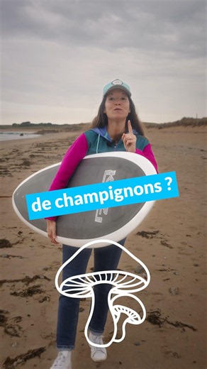 The future of surfing is MUSHROOMS! Innovation | My Program for Action