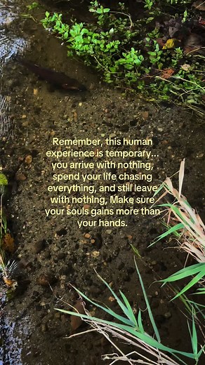 Understanding the Temporary Nature of Human Experience