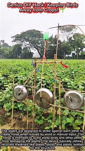 Genius DIY Hack | Keeping Birds Away from Crops! 🌱
