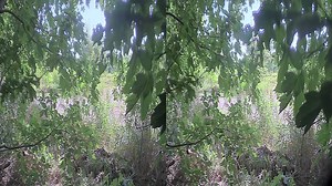 HD3D-lite high definition 3D FPV camera by EMR Laboratories Inc