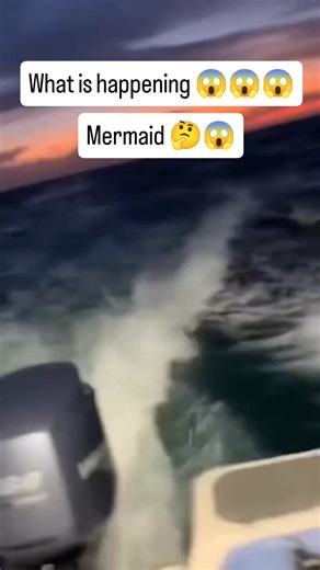 Zosimo Oyong Musica Jr. on Instagram: "Boat Crew Films TERRIFYING Siren Pack Chasing Them - Real Recording! #siren #mermaids #mermaid #sea #ocean #digitalcreator #CommunityEngagement #communitybuilding #art #achivement #summeractivities #animalwelfare #tourism #photography #behindthescenes #fblifestyle #lifestyle #fbreelsfypシ゚viralシ #fbreelsfypシ゚ #tiktok #thankyou #reelschallenge #reelsfypシ #reelsfbシ #happy #photography #knowledge #lifestyle #love #story"