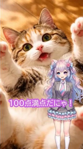 計画を立てる人ほど、人生が詰む理由にゃん♡【エフェクチュエーション】