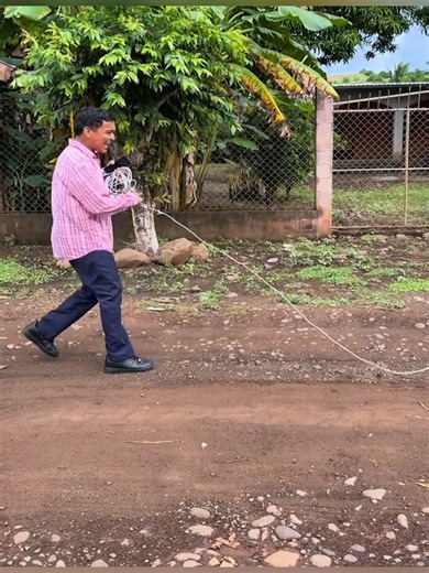 Videos de FV Family (@fvfamilies) con “âm thanh gốc - FV Family”