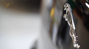 Jaguar XJ Limousine & Hearse