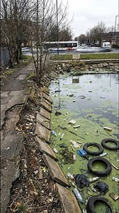 An abandoned urban pond is transformed into a clean, safe, and welcoming public space. Through proper embankment reinforcement, drainage control, and thoughtful urban design, this pond now supports water management and community life. 💧 Clean water 🏙️ Better cities 🌱 Sustainable urban spaces #UrbanPond #UrbanTransformation #CityDevelopment #WaterManagement #PublicSpaces #CivilEngineering #BeforeAfter #SustainableCities #UrbanRenewal | CityFix Visuals