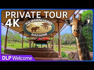 Kilimanjaro Safaris - Exclusive Private Ride in 4K - Disney's Animal Kingdom