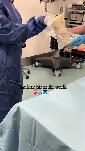 Exploring Wildlife Careers in Britain