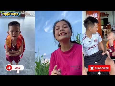 Tổng Hợp Các Video Hay Nhất Của Team Tippi Phần 32 | Tippi Vips #tippitv
