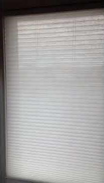 HunterDouglas Duette Duo-Lite Honeycomb Shade Literise